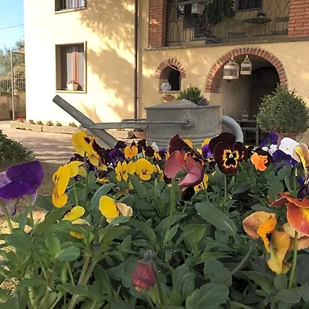 La Casa Della Nonna ヴィテルボ