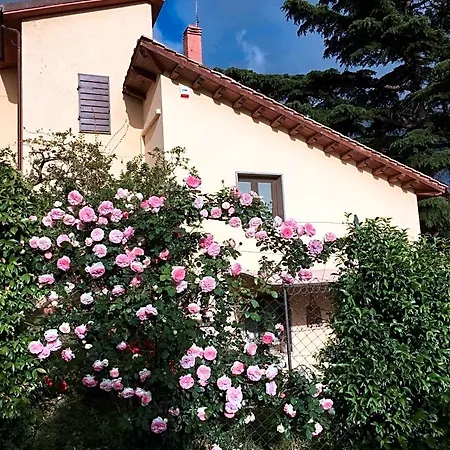 La Casa Della Nonna ベッド・アンド・ブレックファスト ヴィテルボ