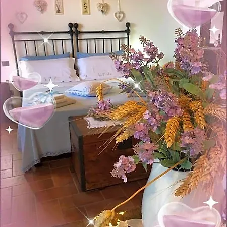 La Casa Della Nonna 3* ヴィテルボ